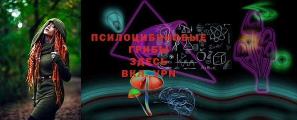 шишки Всеволожск