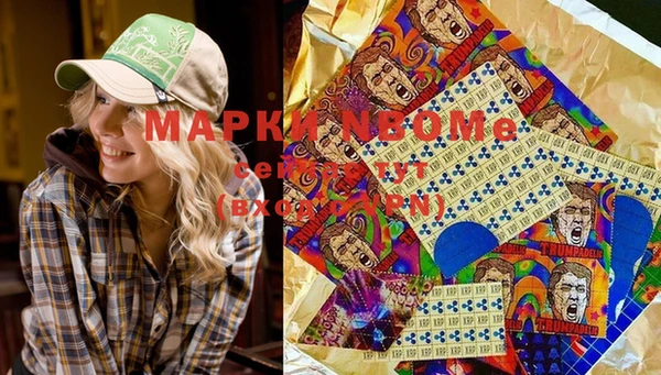 бошки Няндома