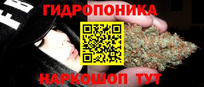 шишки Ирбит