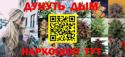 стафф Апшеронск