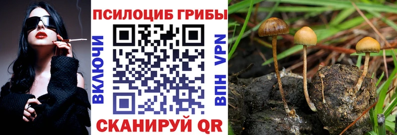 Псилоцибиновые грибы GOLDEN TEACHER  купить наркотики сайты  Прохладный 