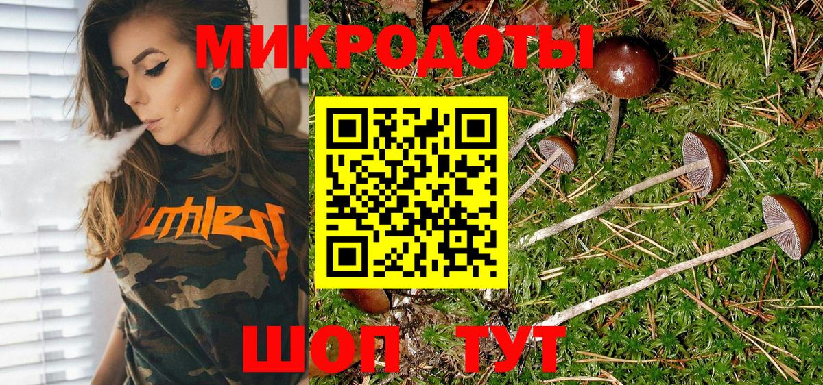 Псилоцибиновые грибы Magic Shrooms  Галлюциногенные грибы прущие грибы  Прохладный  Вход с VPN 